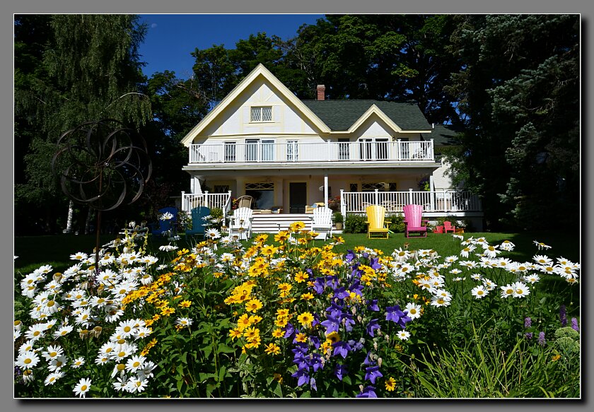 Cottage flowers